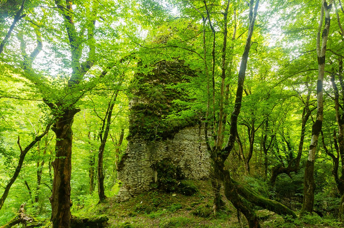 Верхняя Эшера