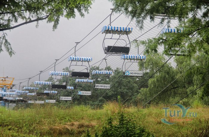 Сеульский Зоопарк