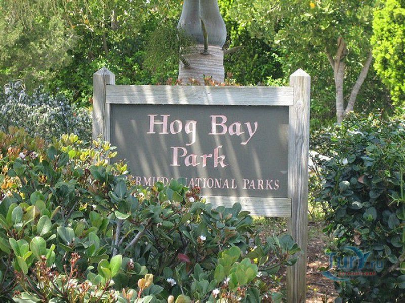 Парк Хог Бэй