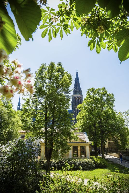 Вышеградские сады