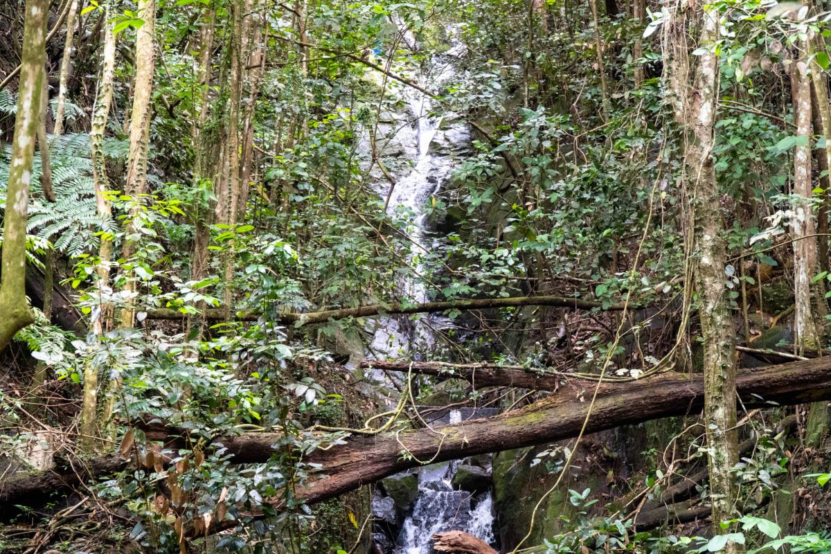 Морн Блан Трейл