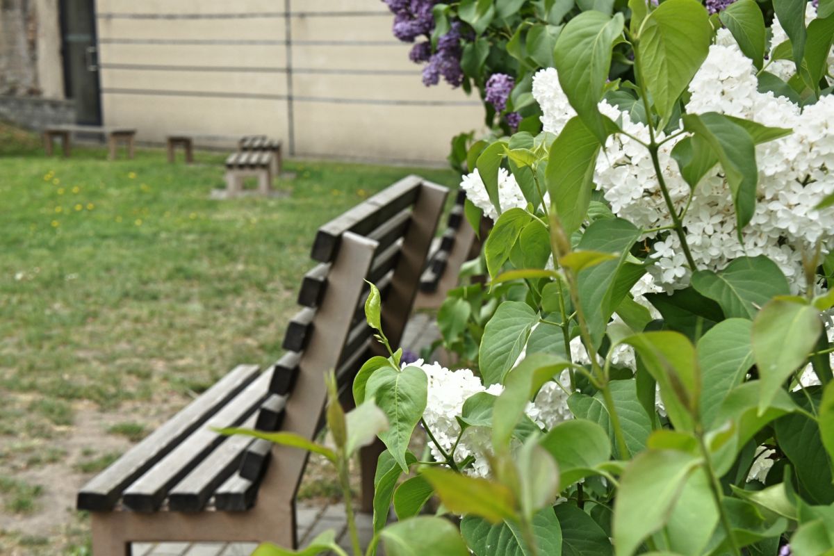 Сад Идей (Idėjų Sodas)