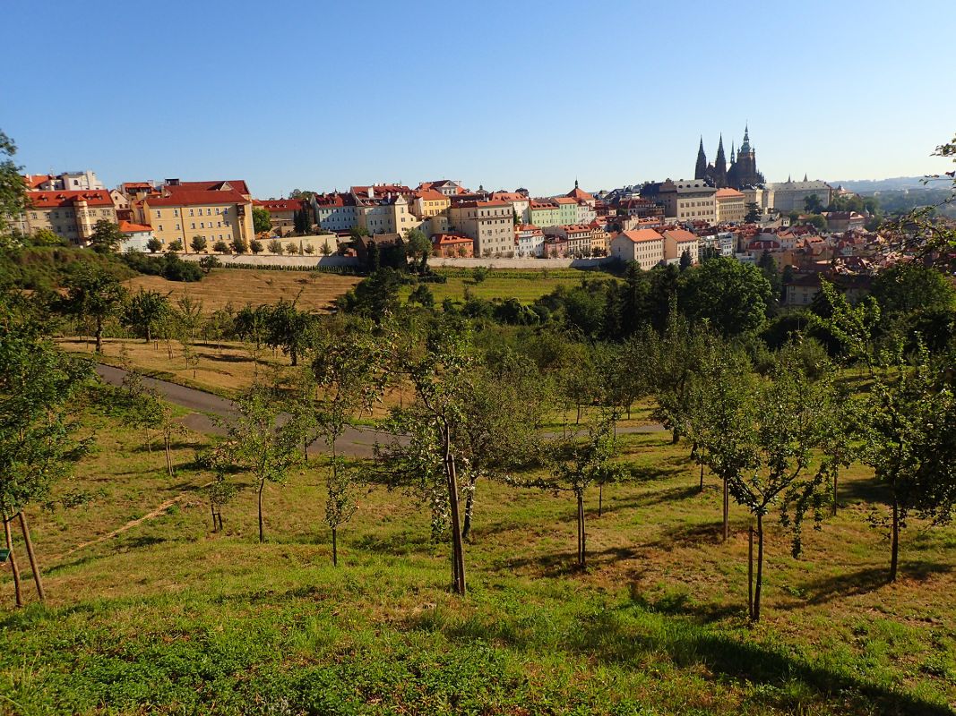 Большой страговский сад
