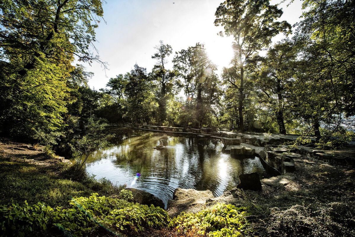 Сад Кинских