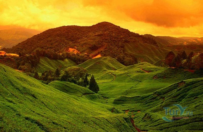 Высокогорье Камерон