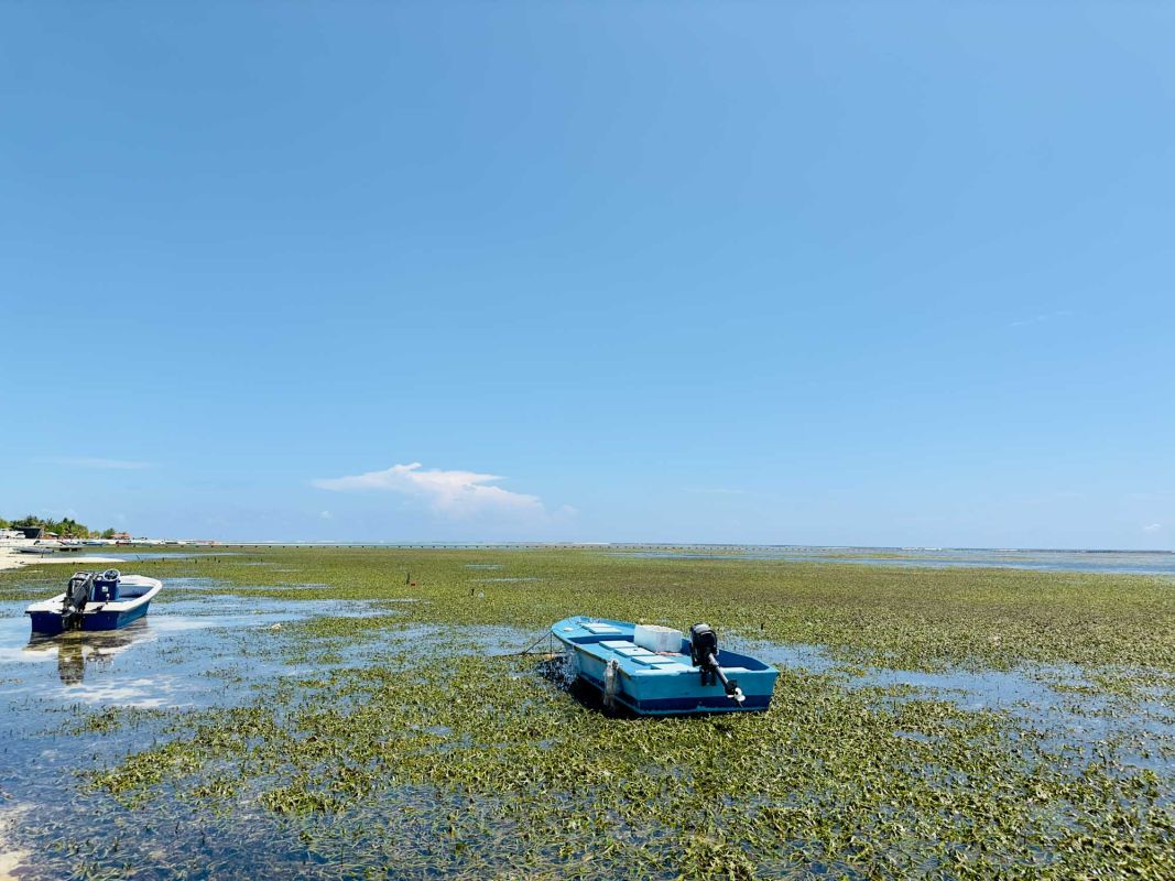 Маафуши Планктон Бич