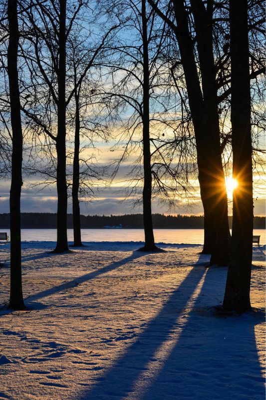Памятник Фр. Р. Крейцвальду и парк на берегу озера Тамула