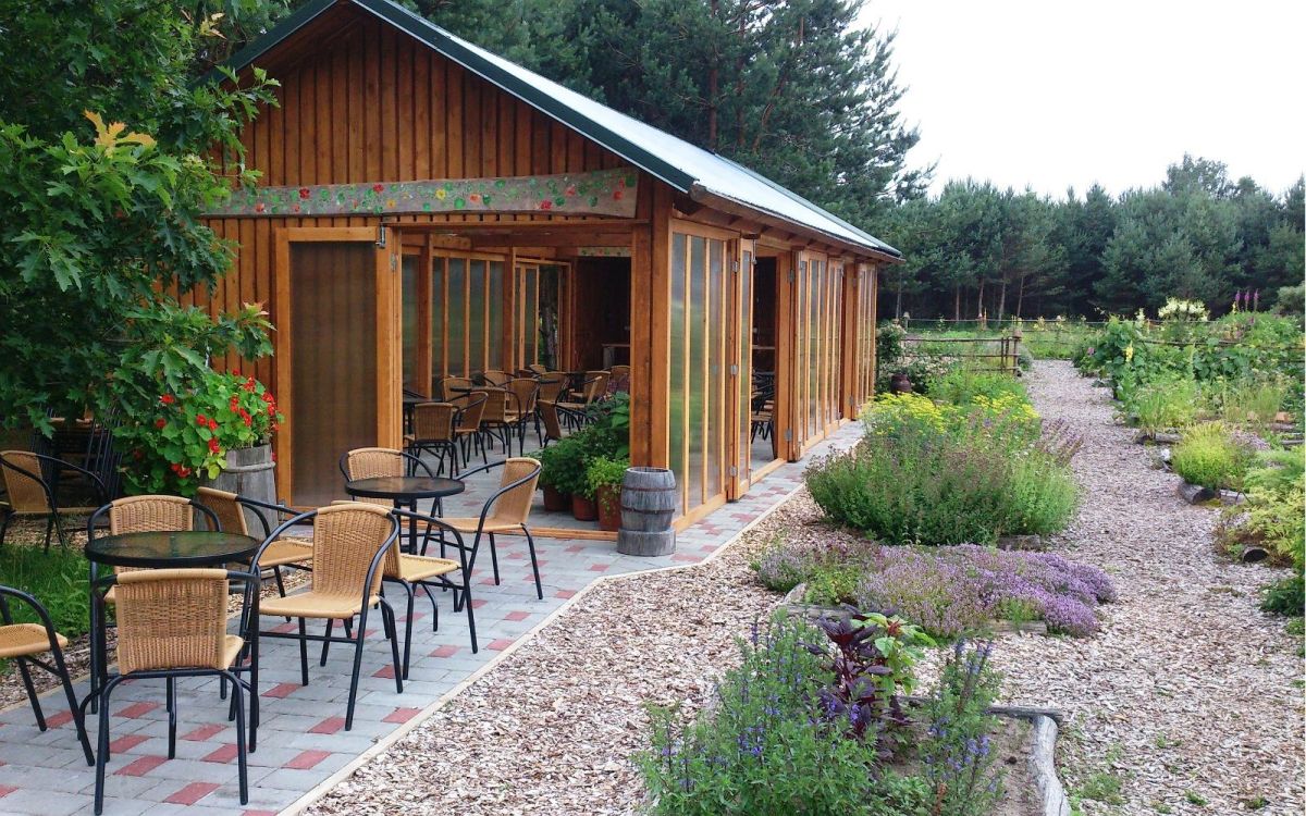 Сад душистых и целебных растений на хуторе Тамме