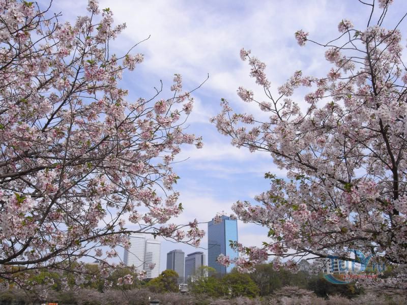 Бизнес Парк Осаки