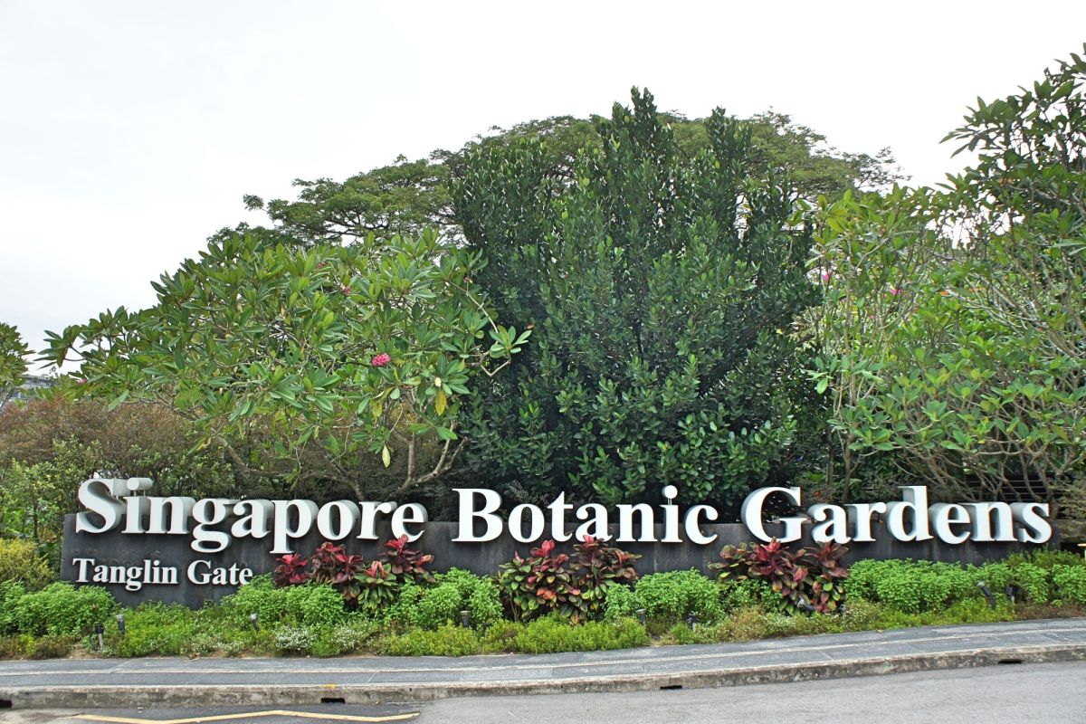 Сингапурский ботанический сад