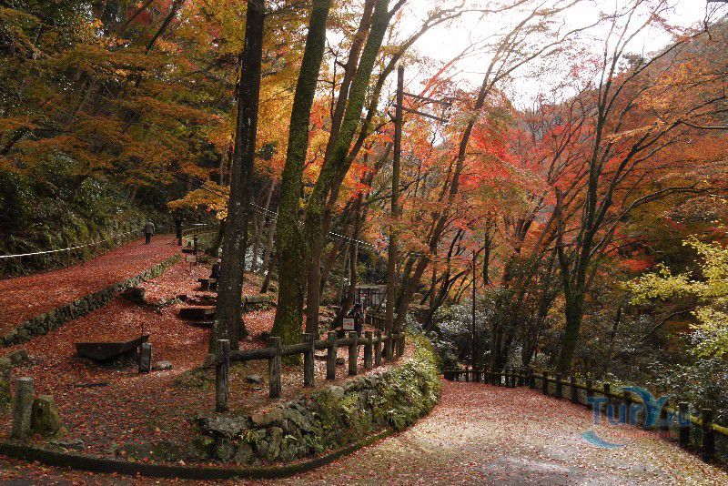 Парк Мэйдзи-но-мори