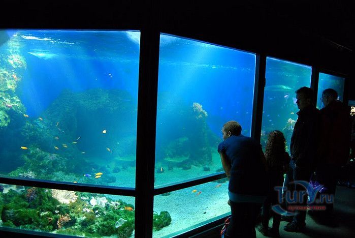 Музей Воды Аквариа