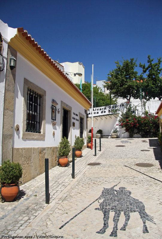 Дом-музей Марио Коэльо