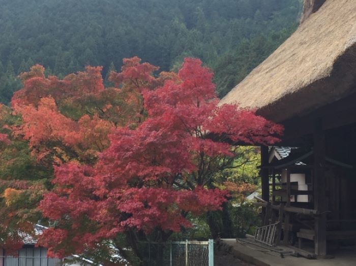 Святилище Обара-дзиндзя