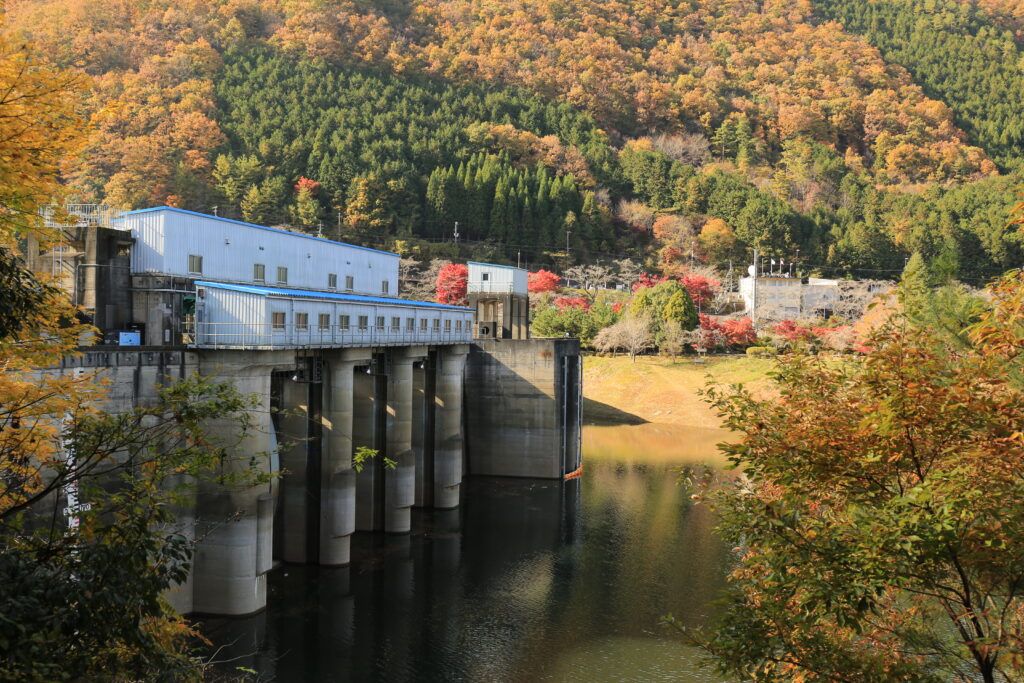 Парк Оно Дам