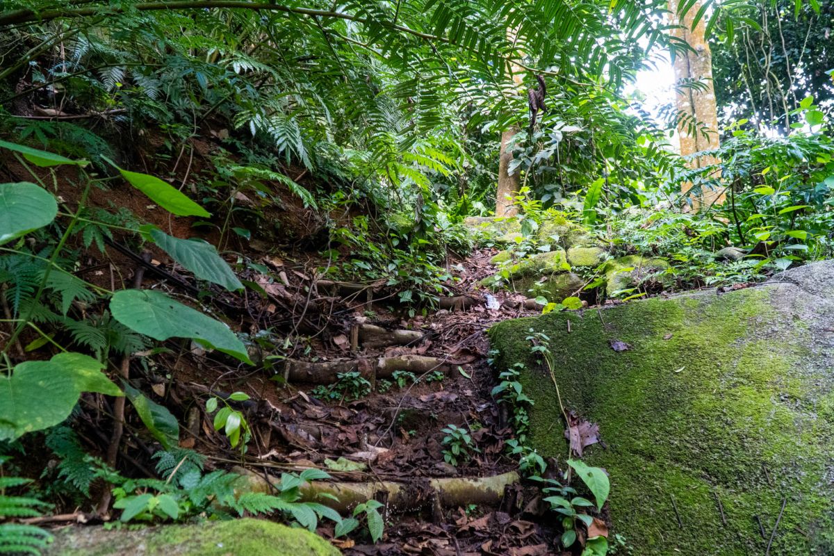 Салази Трейл