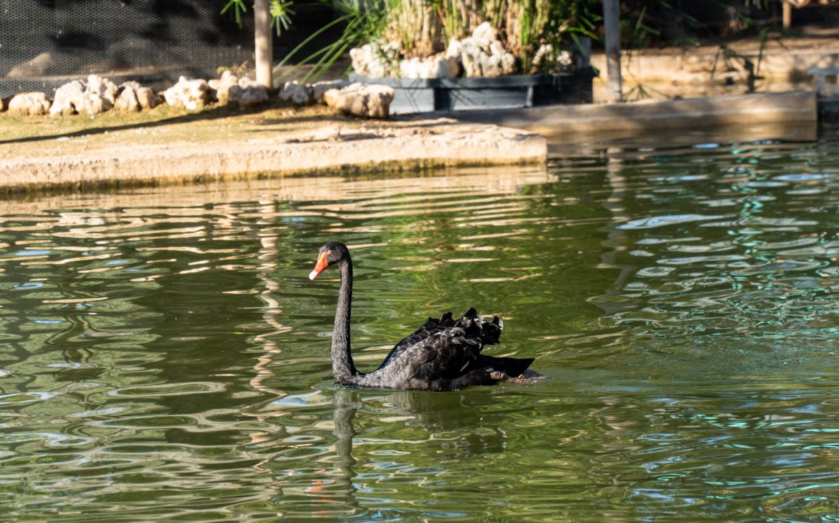 Сад Турия Валенсия. Парк Турия