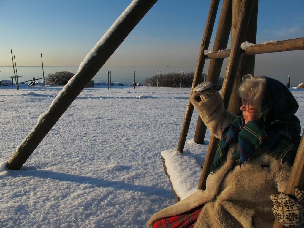 Mузей под открытым небом в Виймси