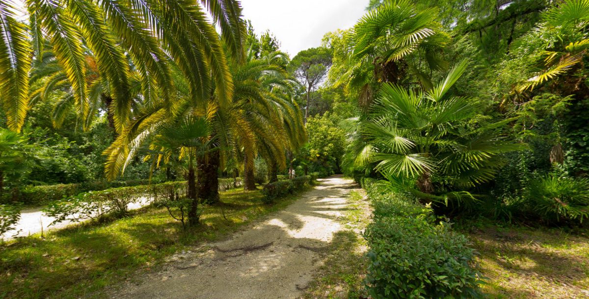 Гагрский Приморский Парк