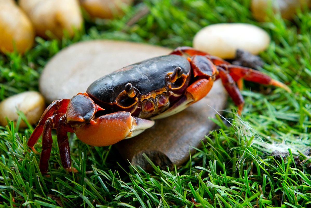 Лесной парк Чулабхон или Ар Дун Лампхан