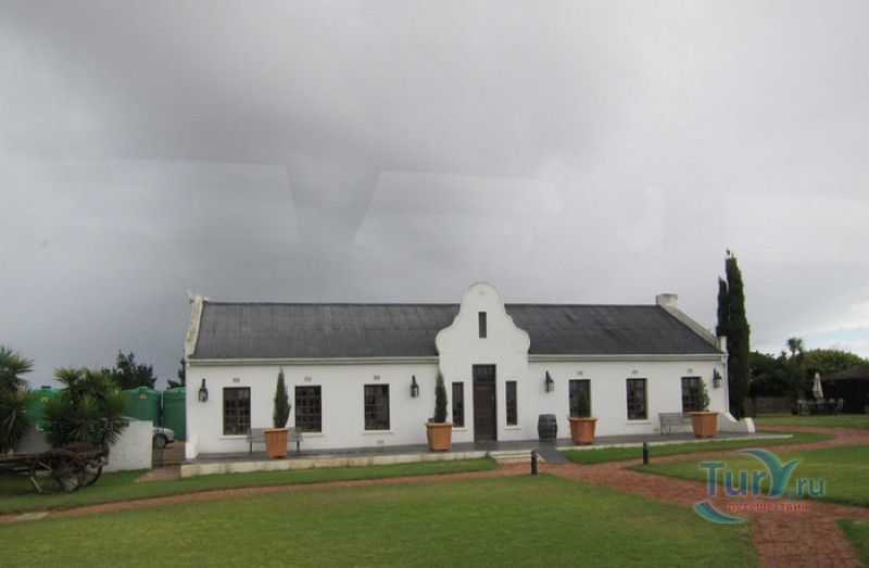 Страусиное Ранчо Кейптаун