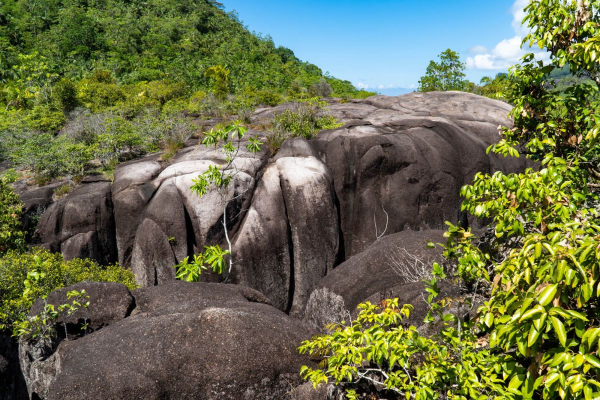 Гласис Ла Резерв Трейл