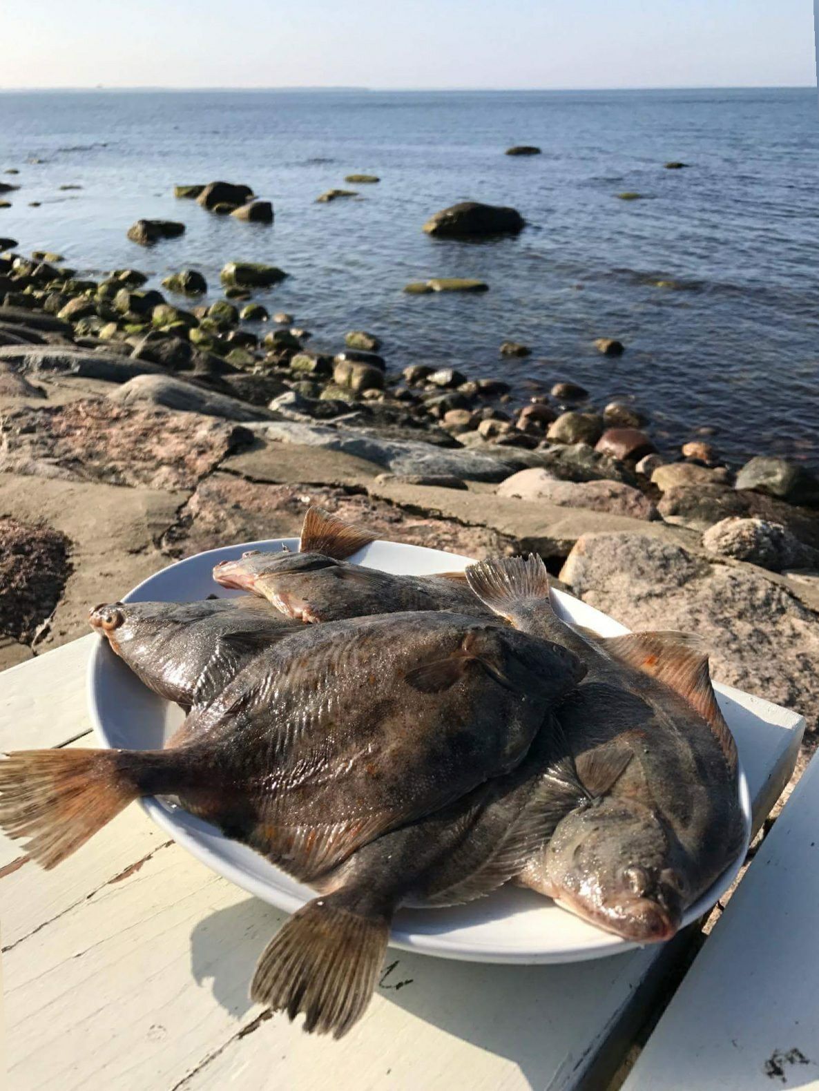 Прибрежный ресторан Paat («Лодка»)