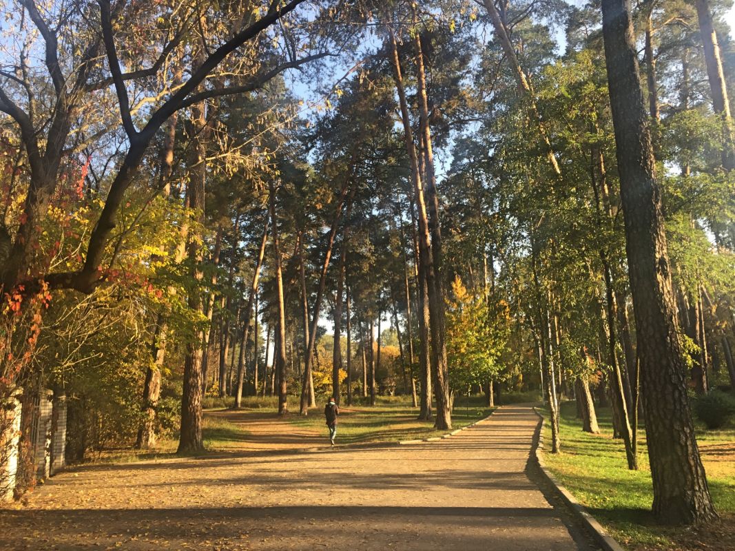 Парк Партизанской славы