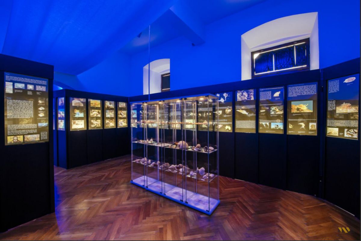 Отдел естествознания Национального музея Задара