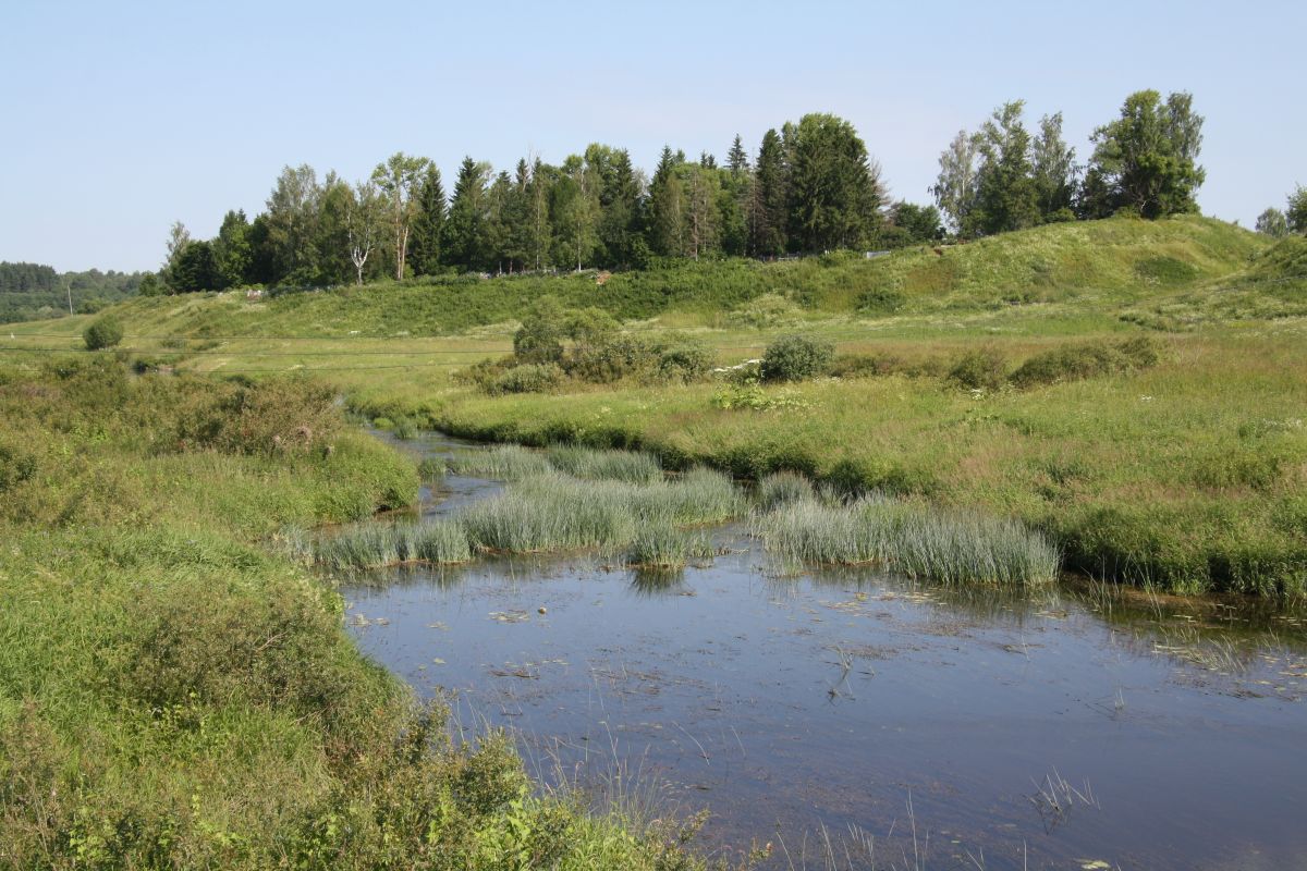 Погорелое Городище