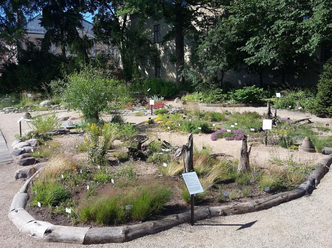 Ботанический сад Тартуского университета