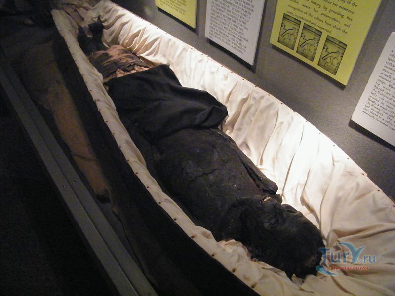 Исторический Музей Санкт-Петербурга