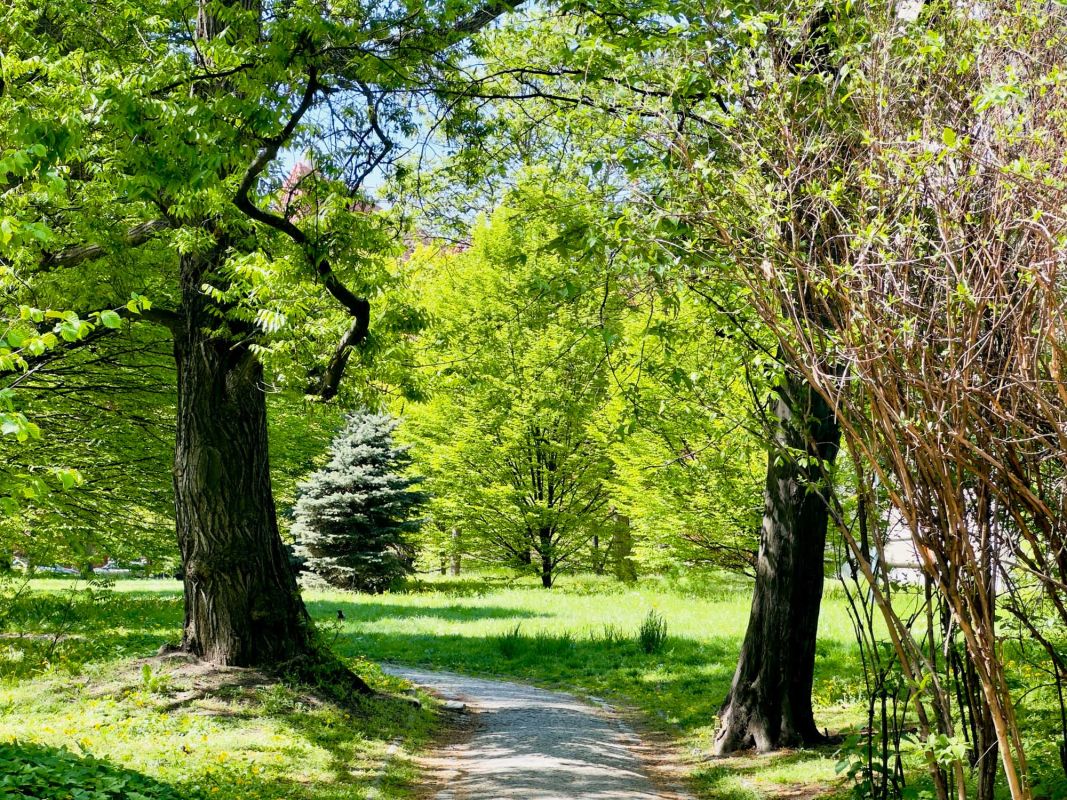 Парк Юлиуша Словацкого