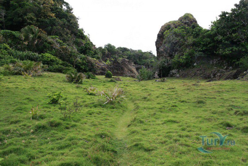 Национальный Парк Уджунг Кулон