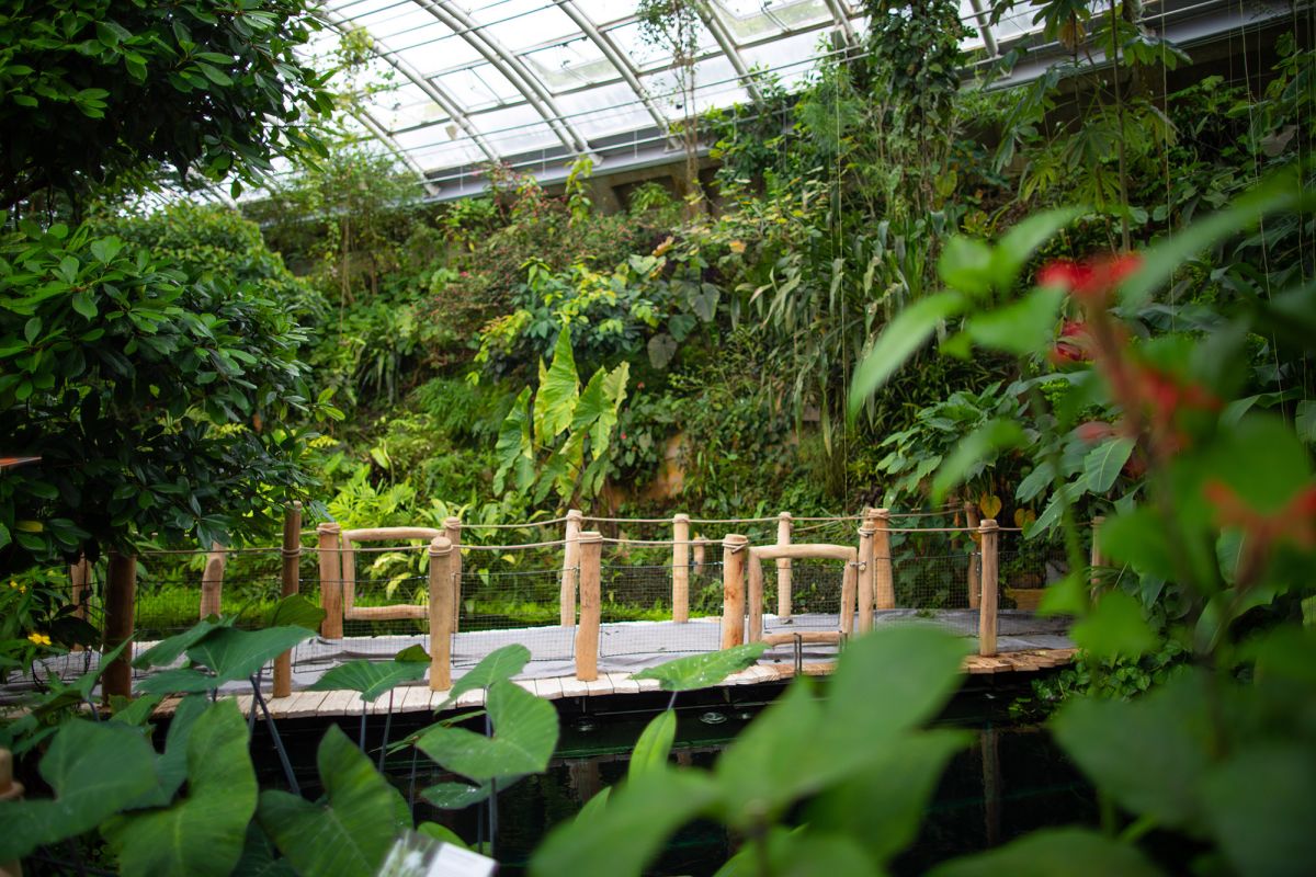 Пражский ботанический сад и оранжерея Fata Morgana