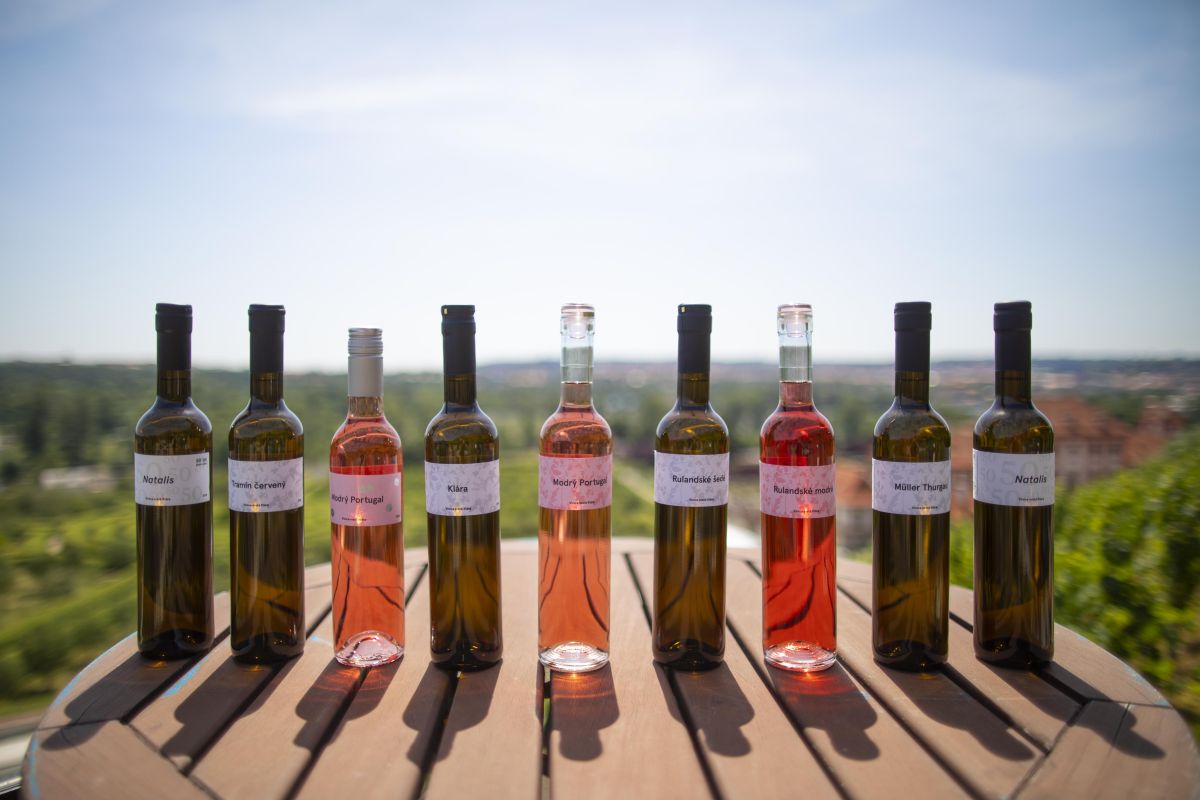 Винотека св. Клара (Vinotéka sv. Klára)