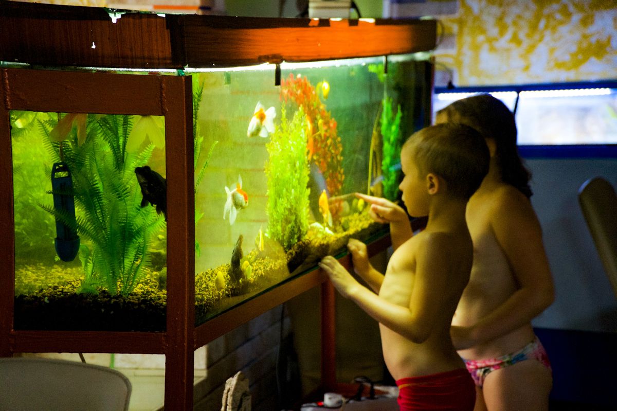 Аквапарк «Королевская бочка»