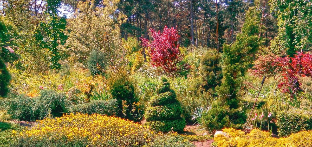 Ботанический сад Днепра