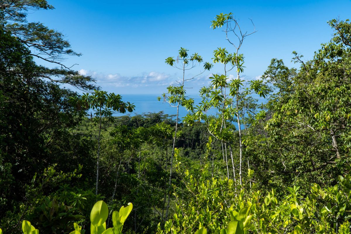 Салази Трейл