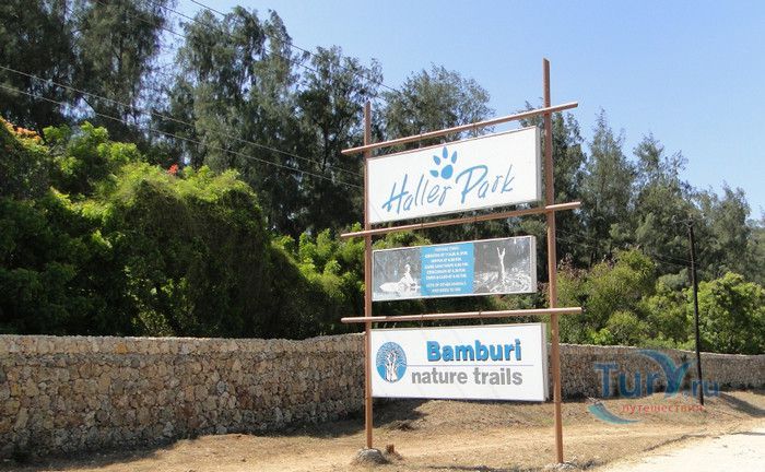 Халлер Парк (Природная Тропа Бамбури)
