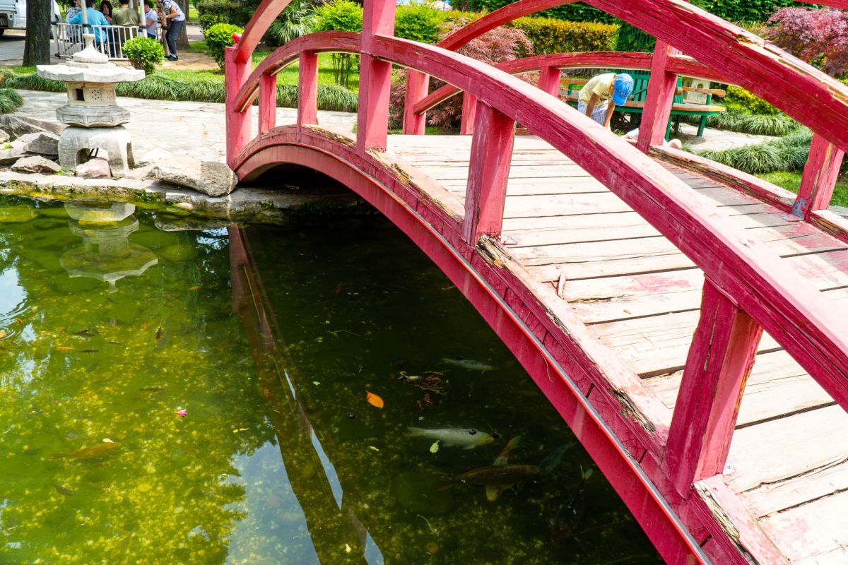 Японский сад в Батуми