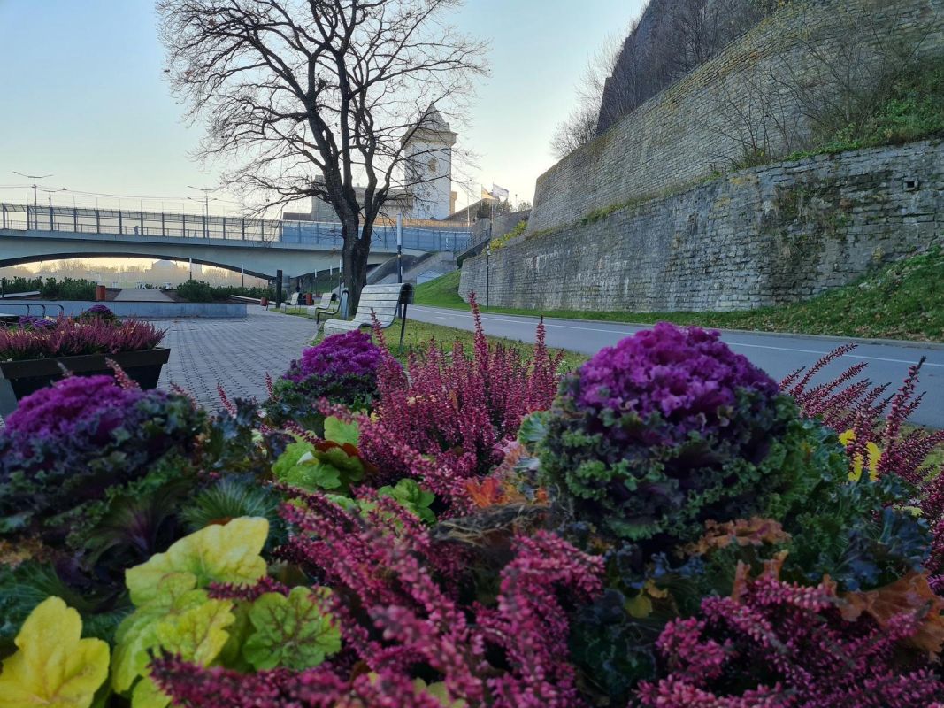 Речной променад в Нарве