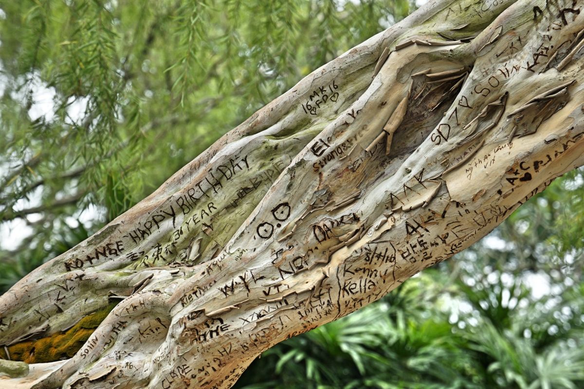 Сингапурский ботанический сад