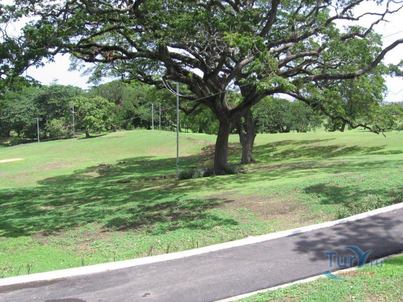 Палмист Парк