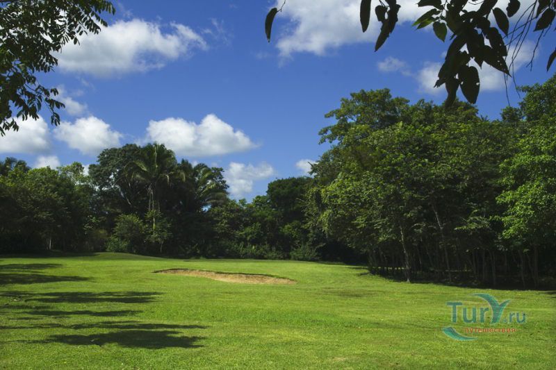 Игра в гольф