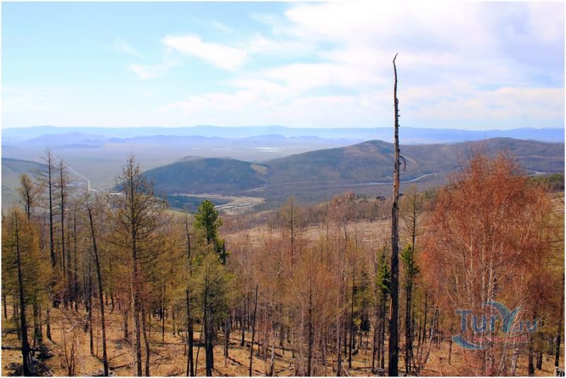 Турано-Уюкская котловина