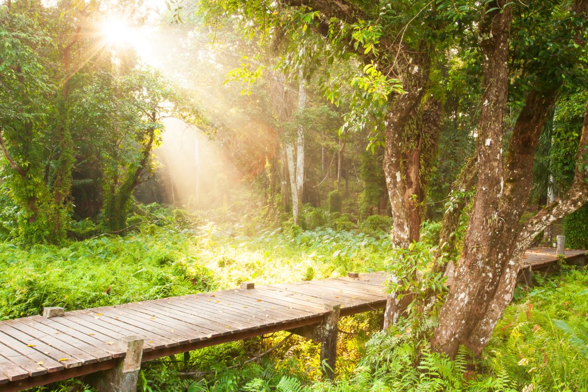 Национальный парк Талай Бан