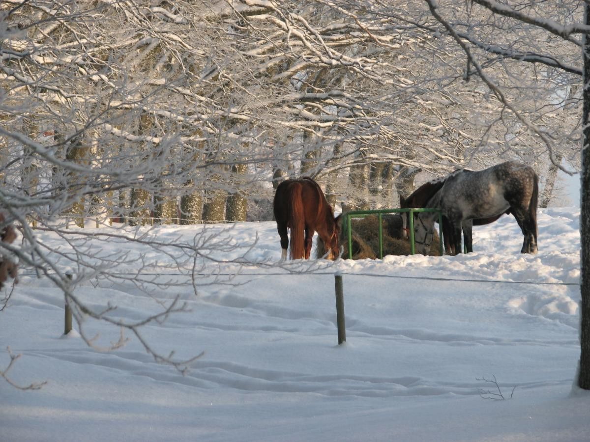 Мыза Олуствере