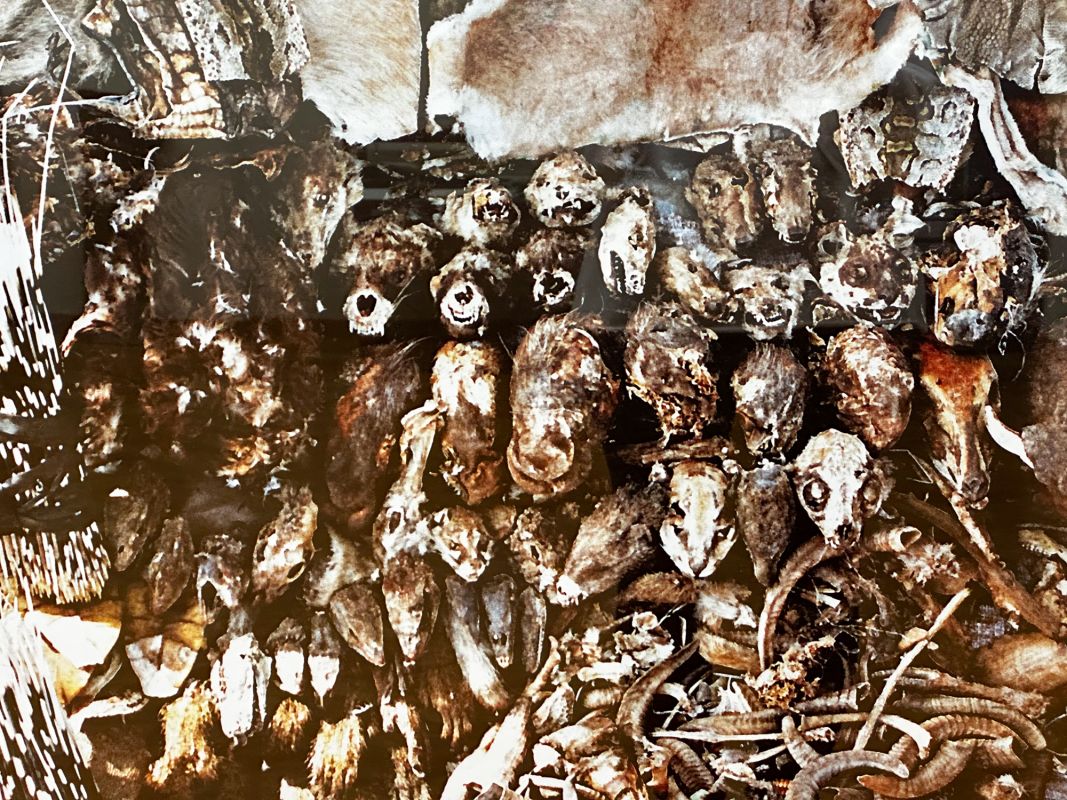 Аптекарский музей во Вроцлаве