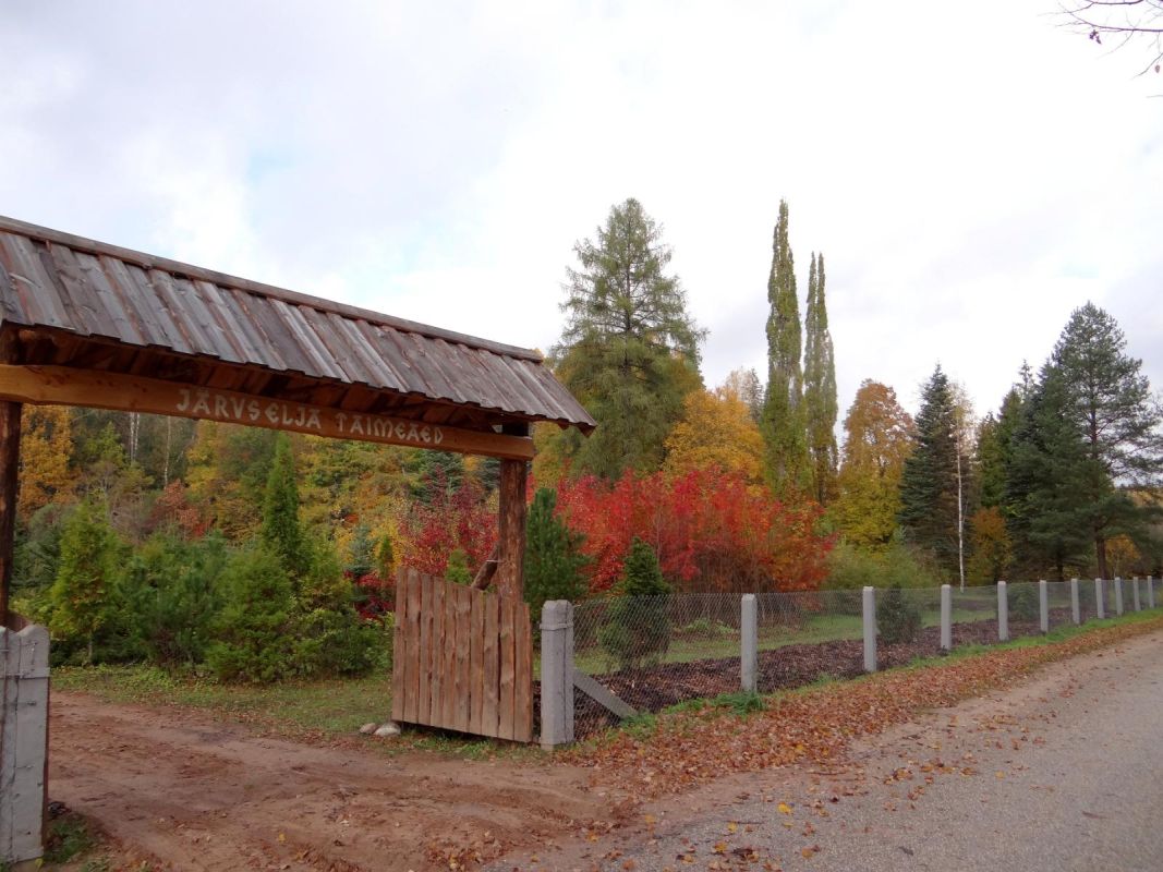 Дендрологический сад-питомник Ярвселья